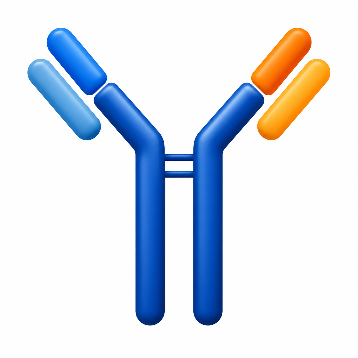 Antibody-drug conjugate