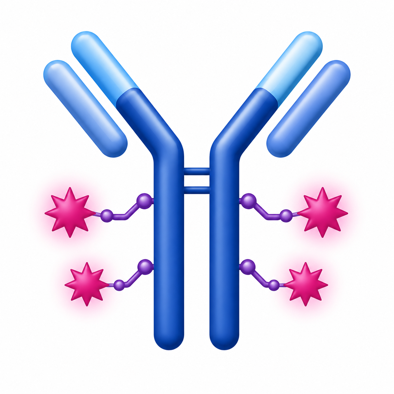 Antibody-drug conjugate
