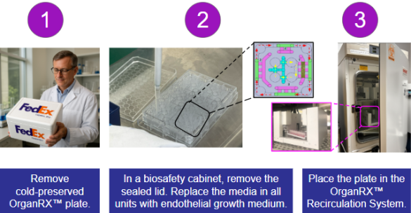 OrganRX&trade; Tissue plates