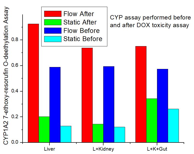 Importance of Fluidic Shear Stress using OrganRXTM System