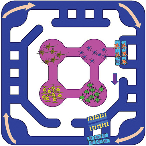 Brain-Gut Plate